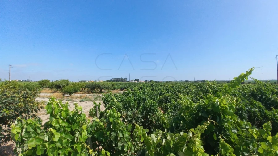 Moradia T3 para Venda em Poceirão e Marateca Foto 13