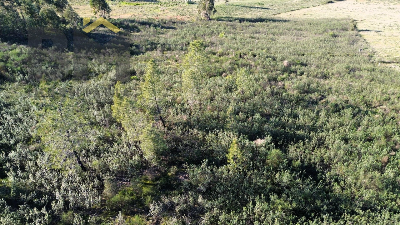 Terreno Agricola ou Rústico para Venda em Freixial e Juncal do Campo Foto 5