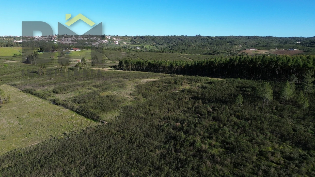 Terreno Agricola ou Rústico para Venda em Freixial e Juncal do Campo Foto 9