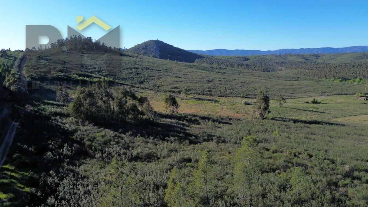 Terreno Agricola ou Rústico para Venda em Freixial e Juncal do Campo Foto 10
