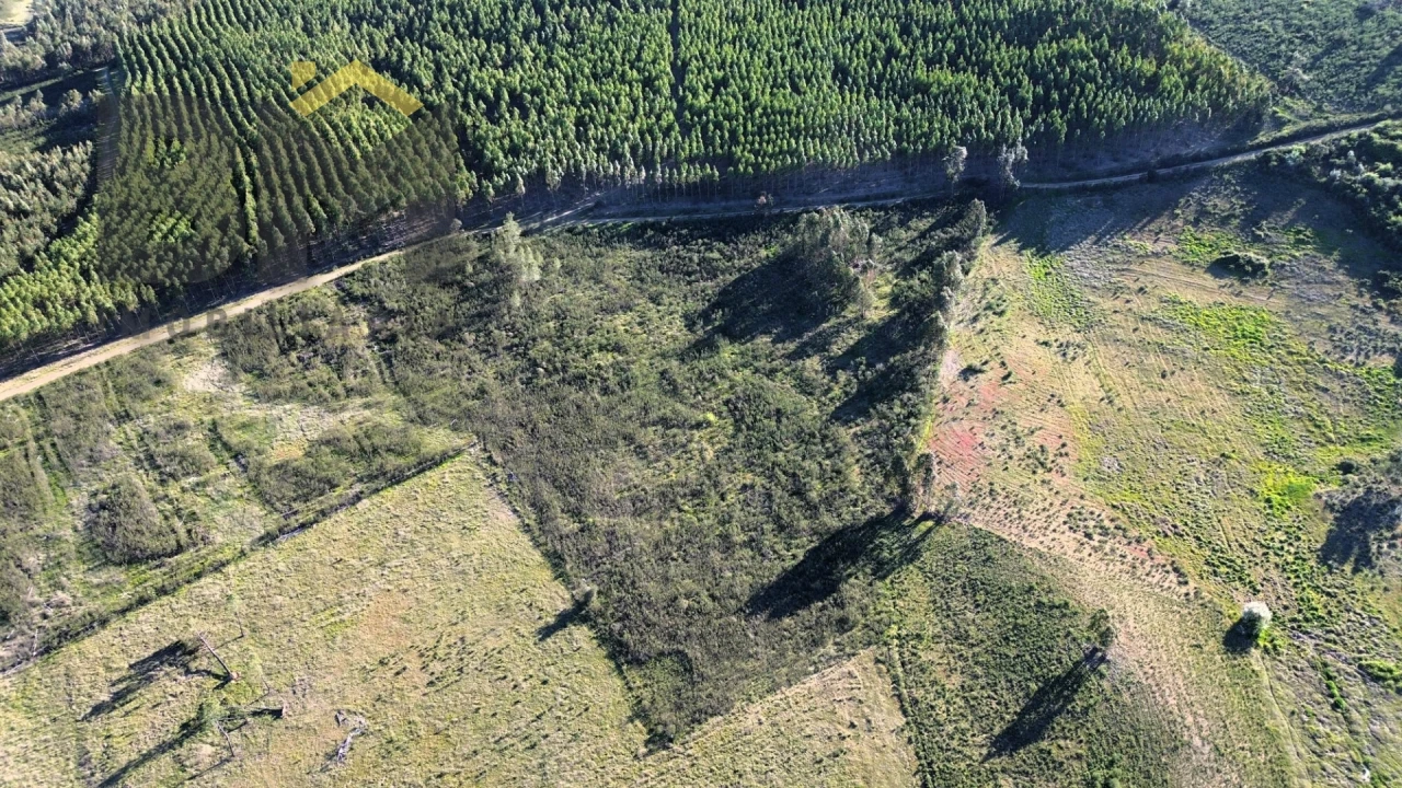 Terreno Agricola ou Rústico para Venda em Freixial e Juncal do Campo Foto 2