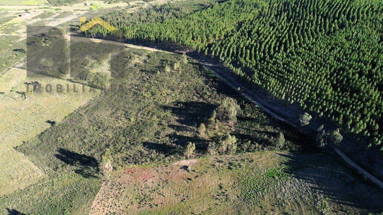 Terreno Agricola ou Rústico para Venda em Freixial e Juncal do Campo Foto 3