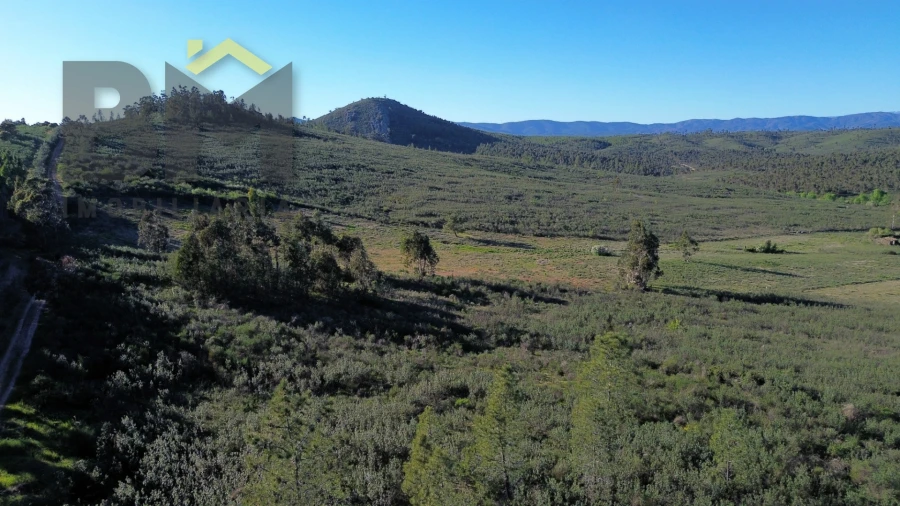 Terreno Agricola ou Rústico para Venda em Freixial e Juncal do Campo Foto 10