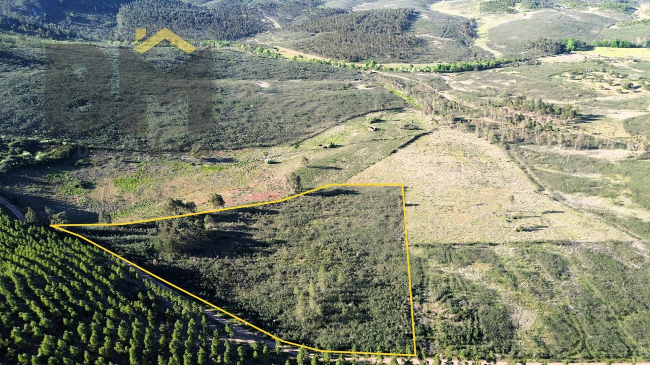 Terreno Agricola ou Rústico para Venda em Freixial e Juncal do Campo Foto 1