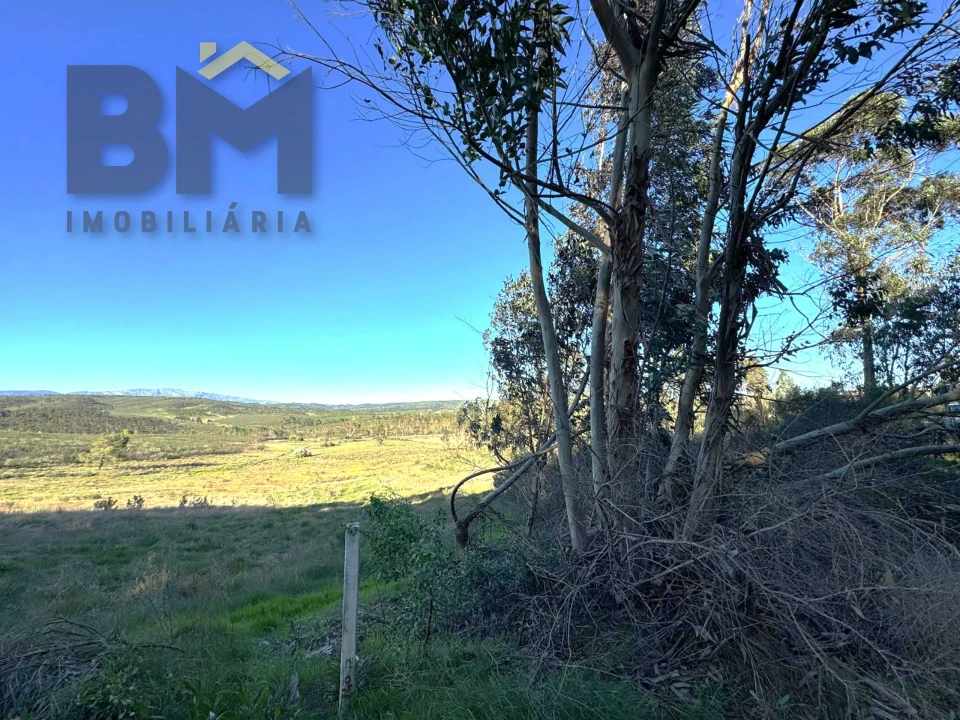 Terreno Agricola ou Rústico para Venda em Freixial e Juncal do Campo Foto 7