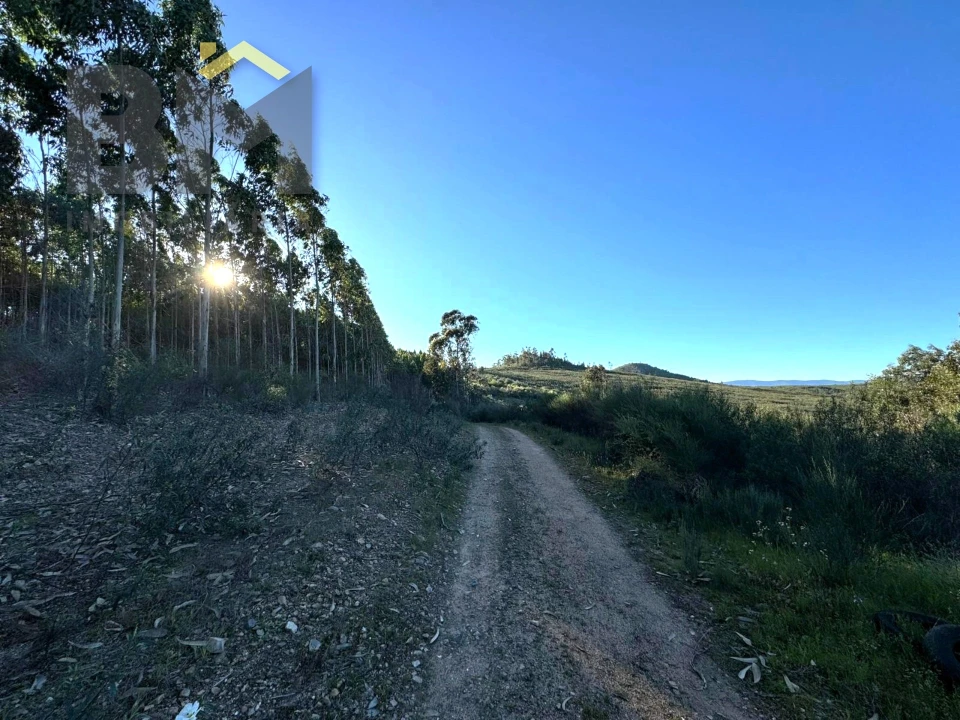 Terreno Agricola ou Rústico para Venda em Freixial e Juncal do Campo Foto 8