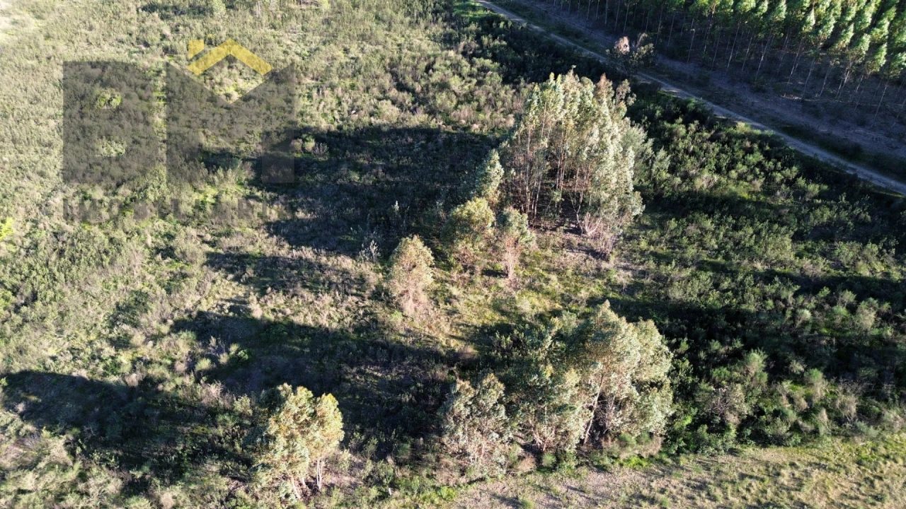 Terreno Agricola ou Rústico para Venda em Freixial e Juncal do Campo Foto 4