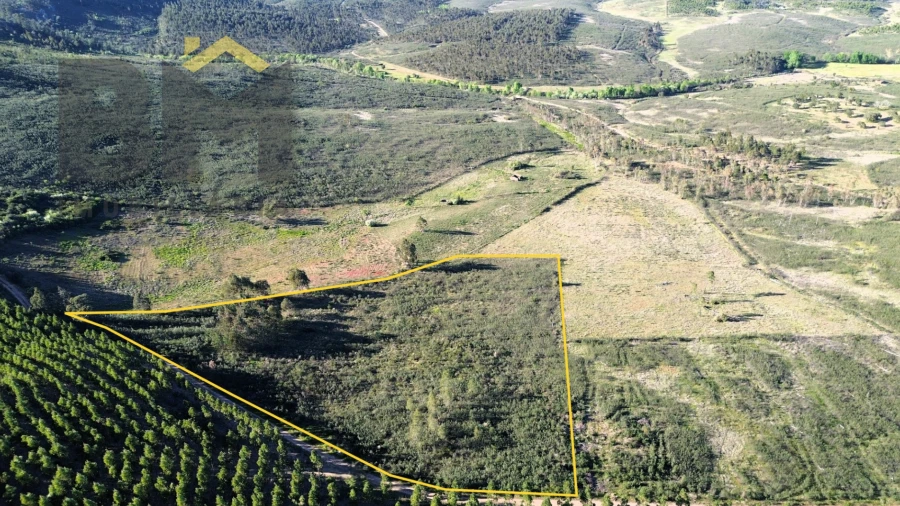 Terreno Agricola ou Rústico para Venda em Freixial e Juncal do Campo