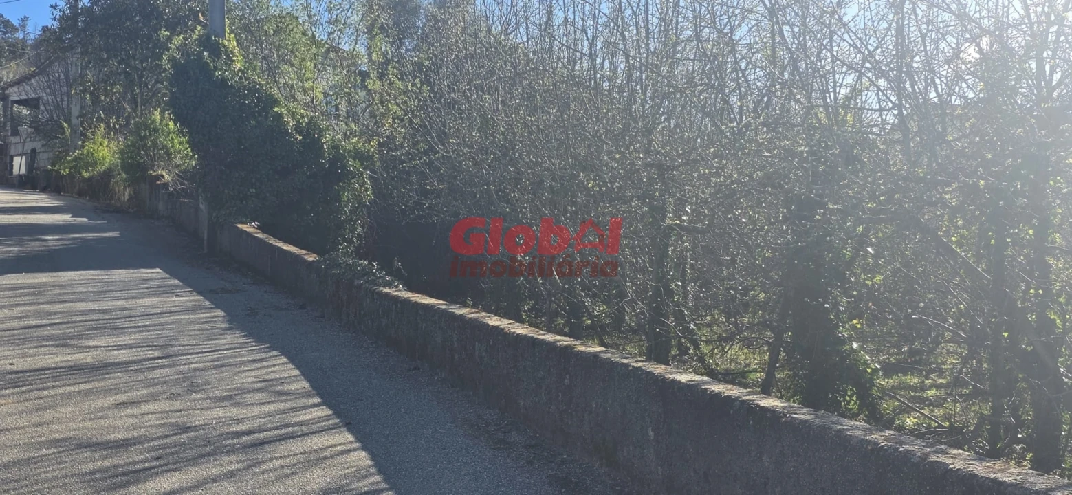 Terreno para Venda em Castelo de Penalva Foto 2
