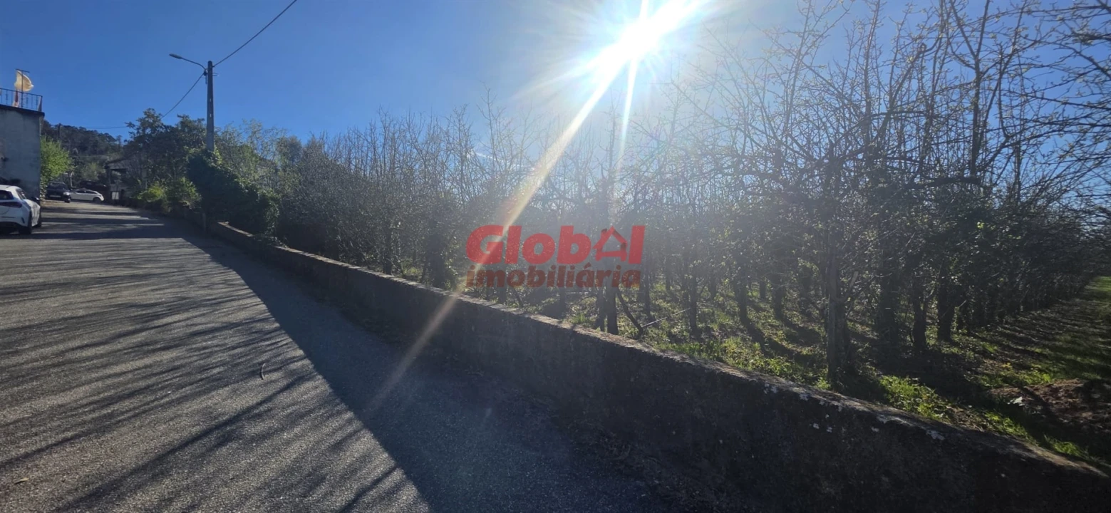 Terreno para Venda em Castelo de Penalva Foto 3
