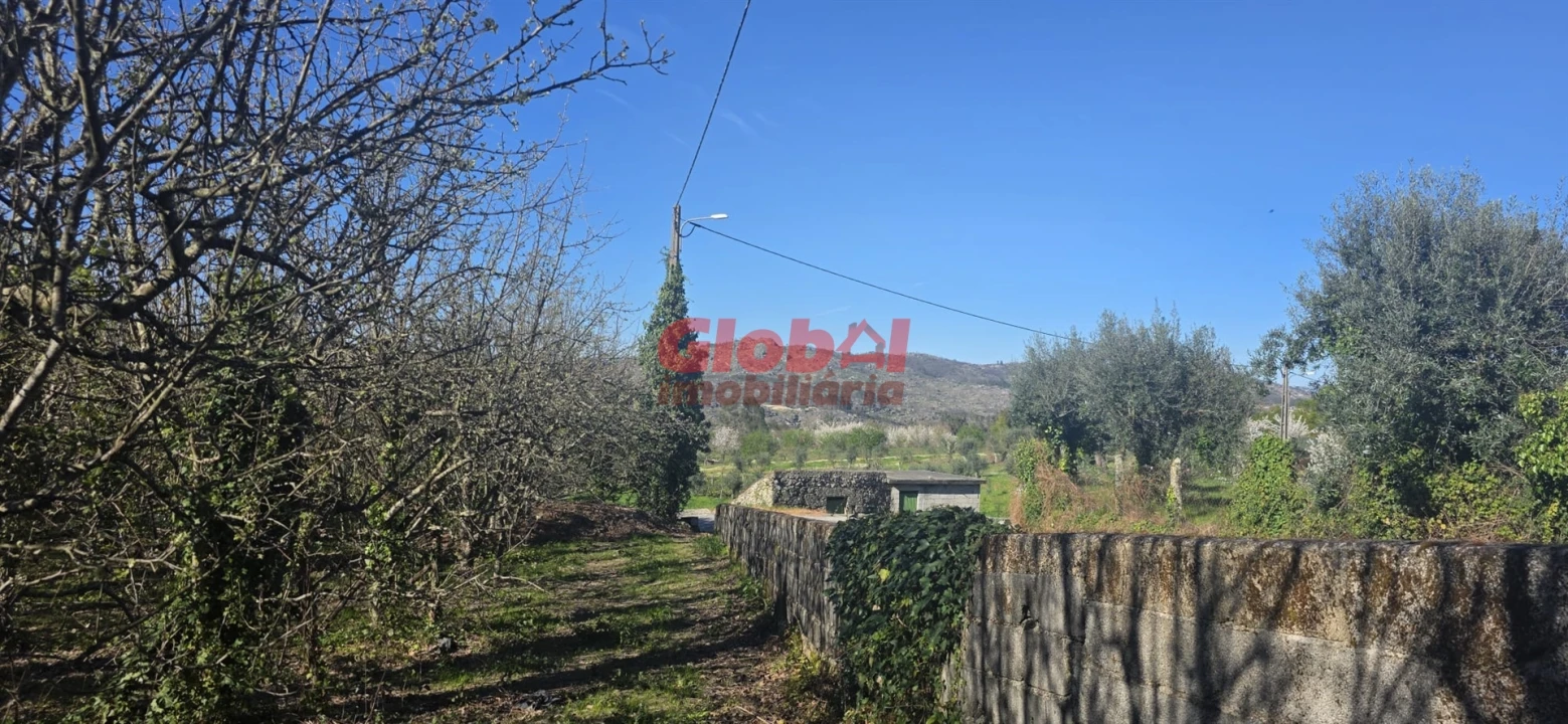 Terreno para Venda em Castelo de Penalva Foto 5