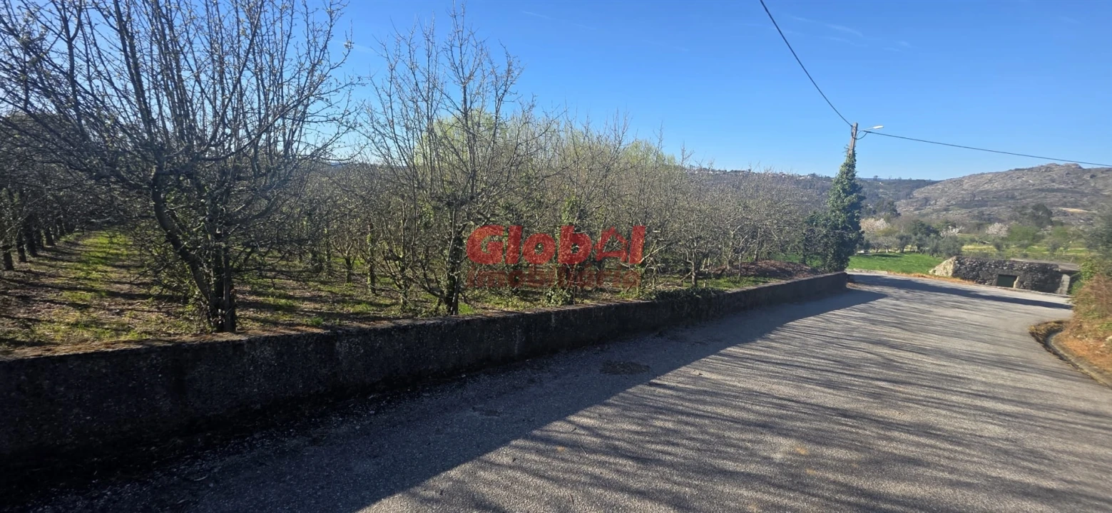 Terreno para Venda em Castelo de Penalva Foto 6