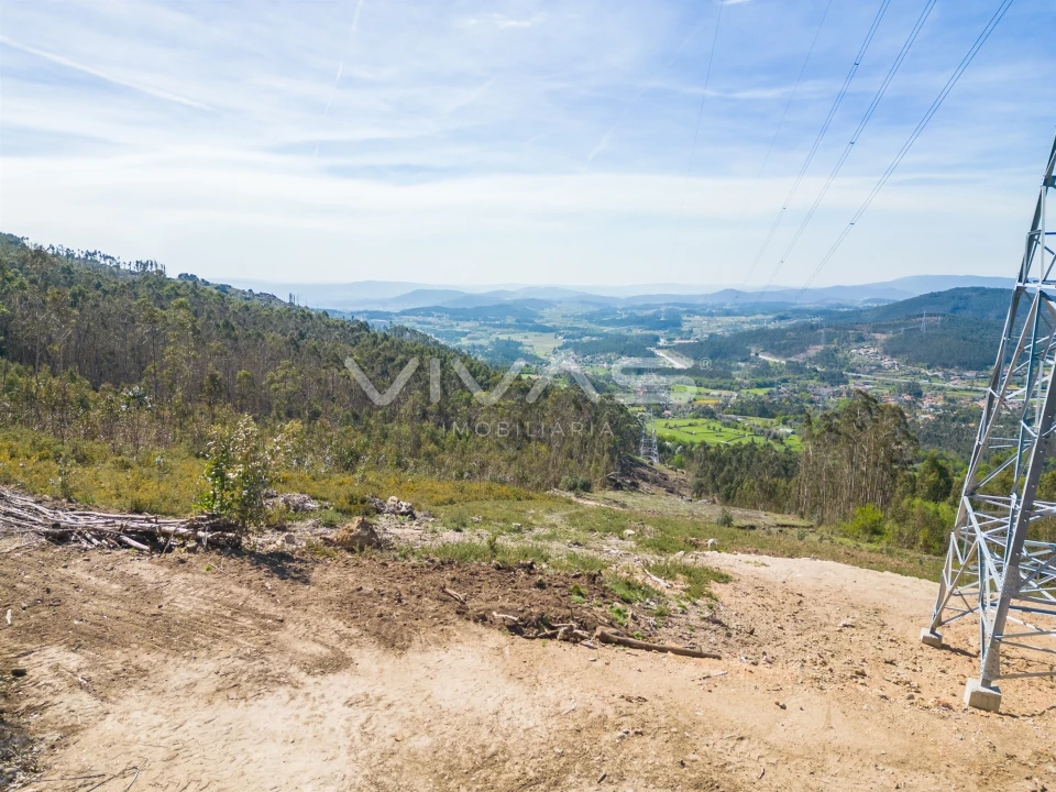 Terreno Agricola ou Rústico para Venda em Anais Foto 8