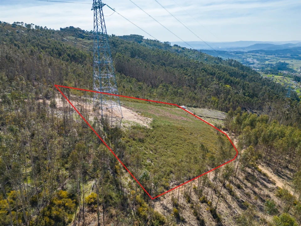 Terreno Agricola ou Rústico para Venda em Anais Foto 25