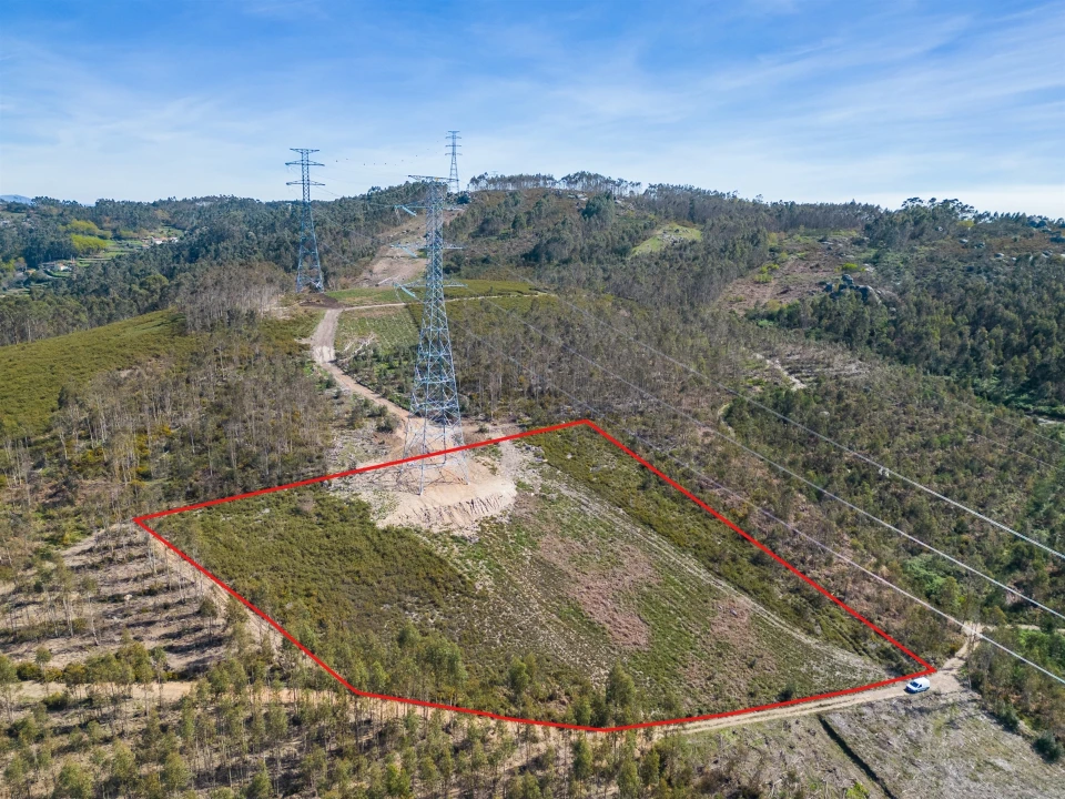 Terreno Agricola ou Rústico para Venda em Anais Foto 23