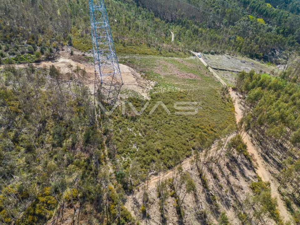 Terreno Agricola ou Rústico para Venda em Anais Foto 15