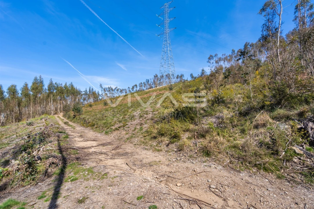 Terreno Agricola ou Rústico para Venda em Anais Foto 6