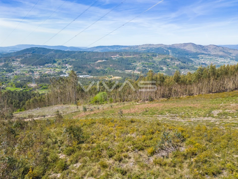 Terreno Agricola ou Rústico para Venda em Anais Foto 3