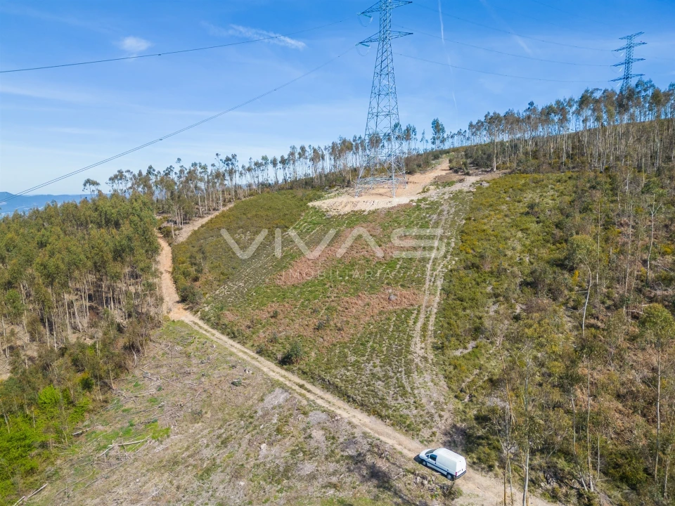 Terreno Agricola ou Rústico para Venda em Anais Foto 9