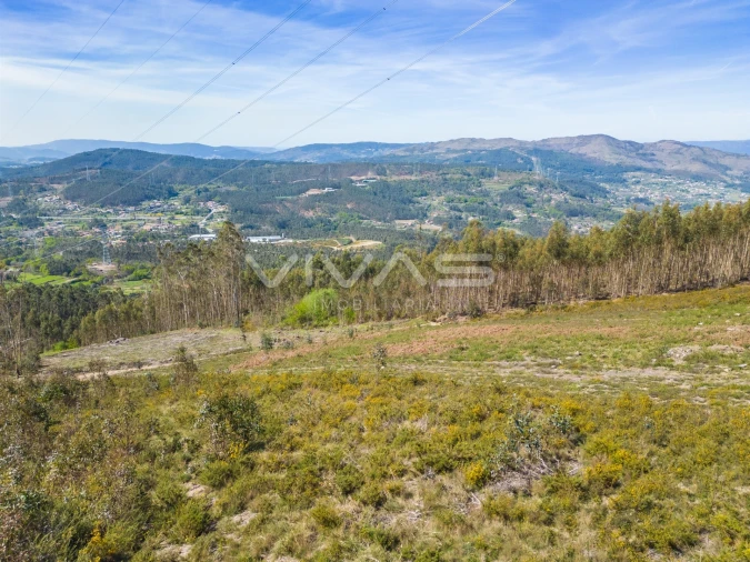 Terreno Agricola ou Rústico para Venda em Anais Foto 3