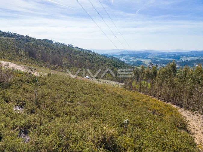 Terreno Agricola ou Rústico para Venda em Anais Foto 2