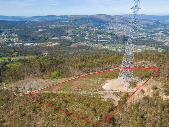 Terreno Agricola ou Rústico para Venda em Anais Foto 24