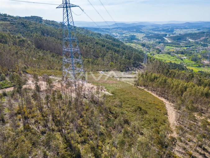 Terreno Agricola ou Rústico para Venda em Anais Foto 17