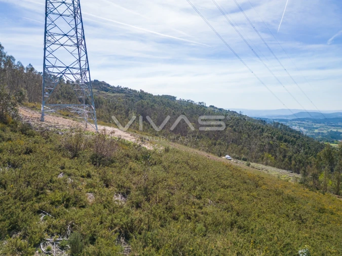 Terreno Agricola ou Rústico para Venda em Anais Foto 18