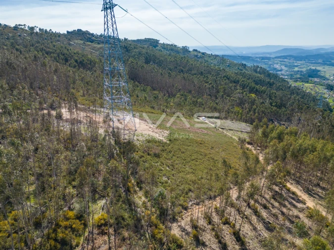 Terreno Agricola ou Rústico para Venda em Anais Foto 14