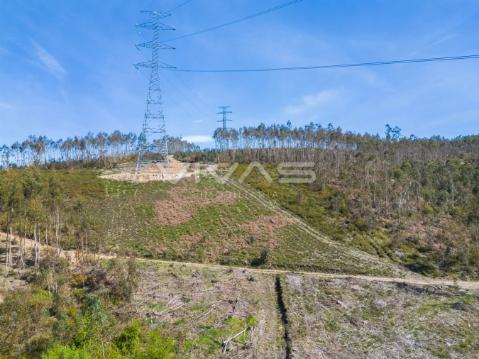 Terreno Agricola ou Rústico para Venda em Anais Foto 21