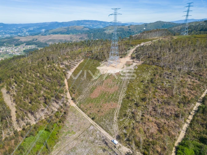 Terreno Agricola ou Rústico para Venda em Anais Foto 10
