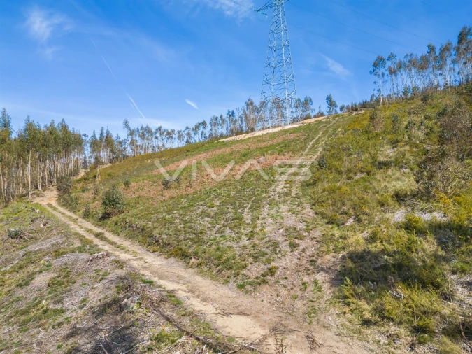 Terreno Agricola ou Rústico para Venda em Anais Foto 1