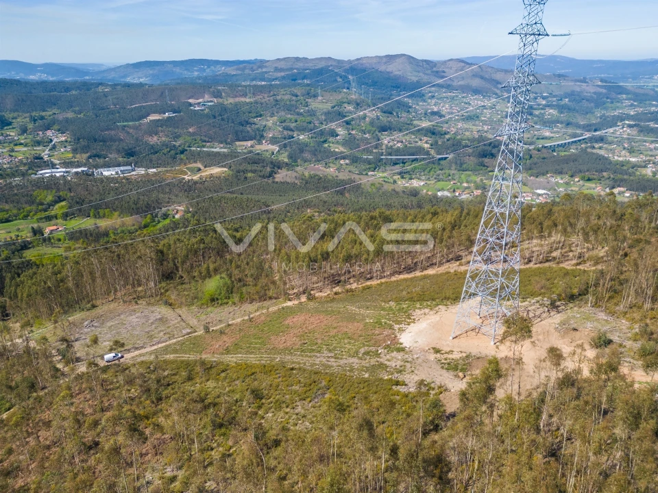 Terreno Agricola ou Rústico para Venda em Anais Foto 20