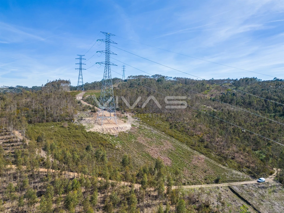 Terreno Agricola ou Rústico para Venda em Anais Foto 13