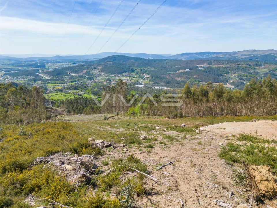 Terreno Agricola ou Rústico para Venda em Anais Foto 4