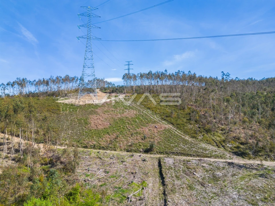 Terreno Agricola ou Rústico para Venda em Anais Foto 21