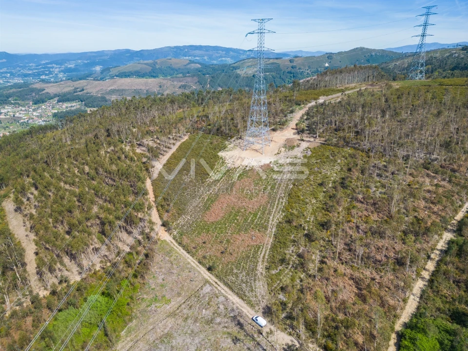 Terreno Agricola ou Rústico para Venda em Anais Foto 10