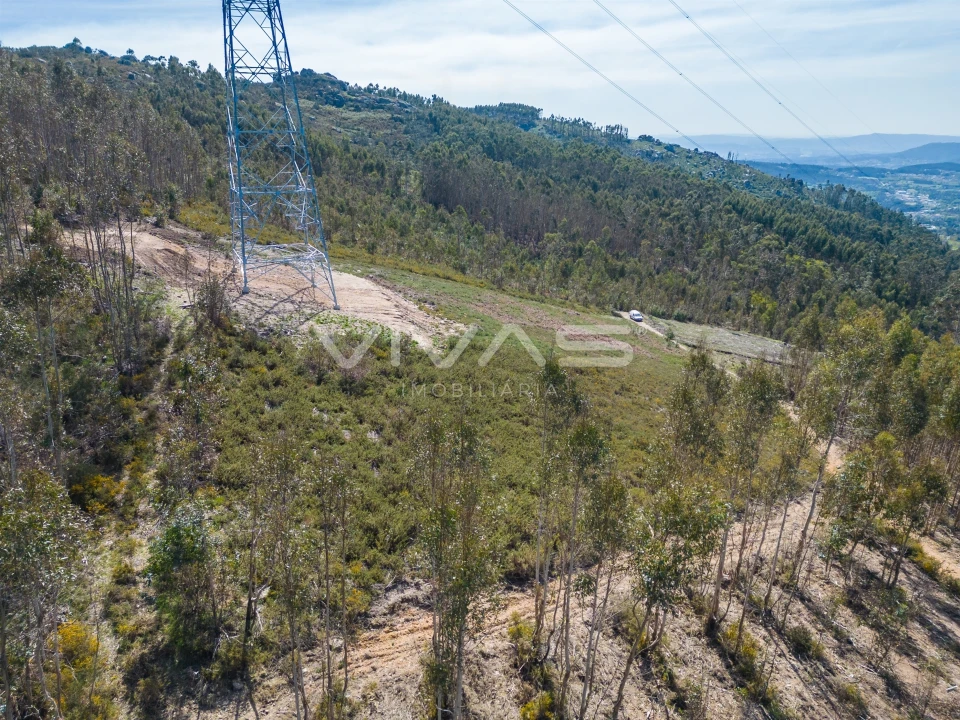 Terreno Agricola ou Rústico para Venda em Anais Foto 16