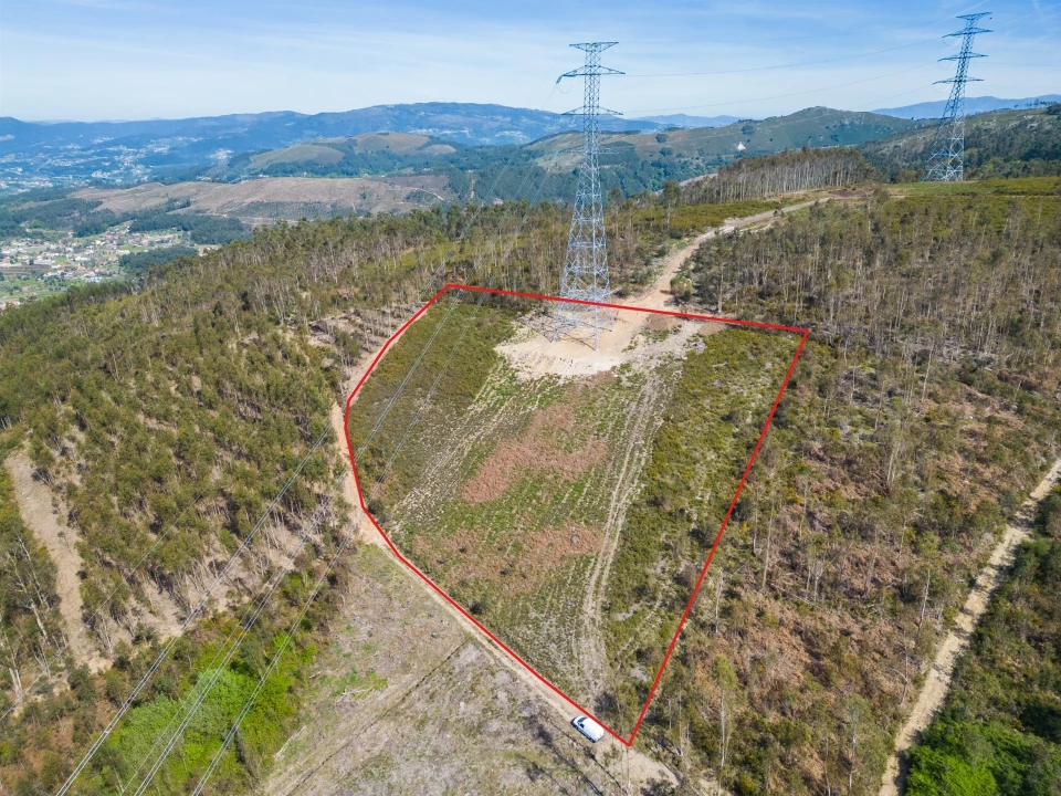 Terreno Agricola ou Rústico para Venda em Anais Foto 22