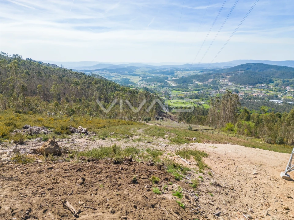 Terreno Agricola ou Rústico para Venda em Anais Foto 7