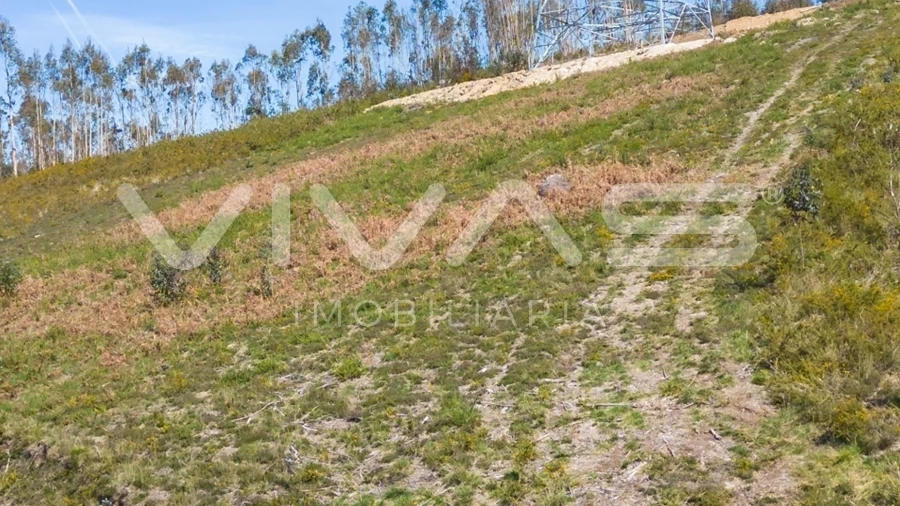 Terreno Agricola ou Rústico para Venda em Anais