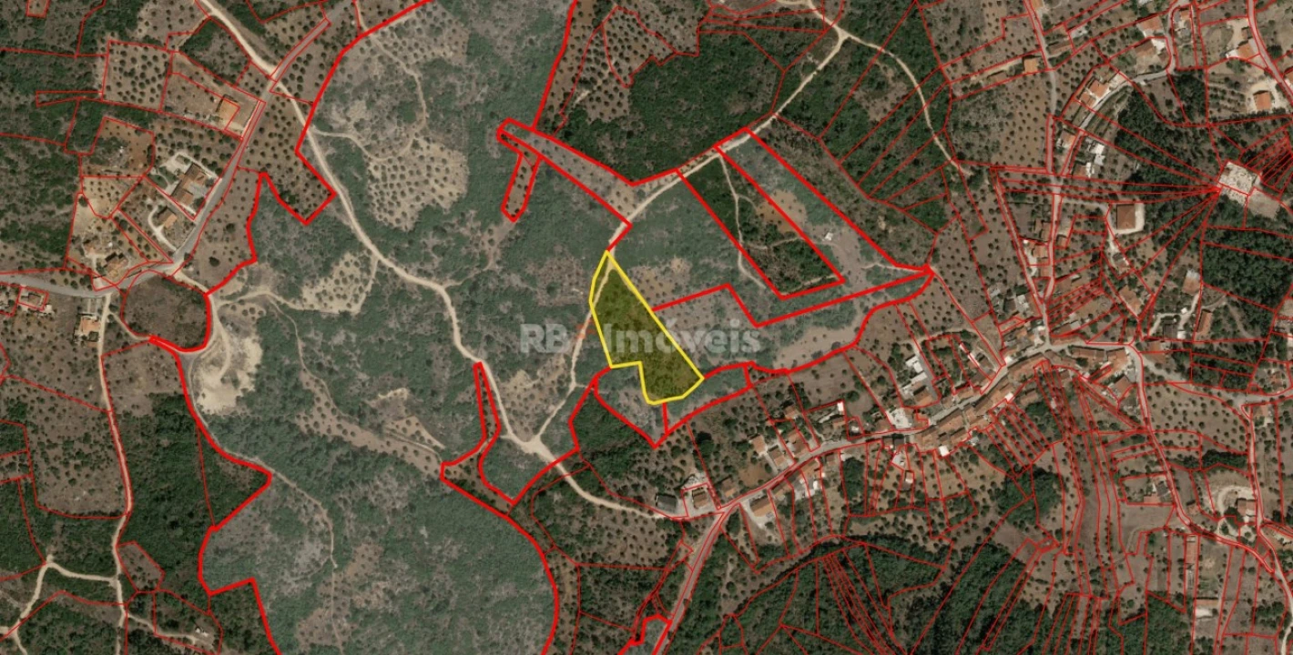 Terreno Agricola ou Rústico para Venda em Sabacheira Foto 5