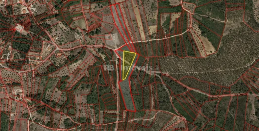 Terreno Agricola ou Rústico para Venda em Sabacheira