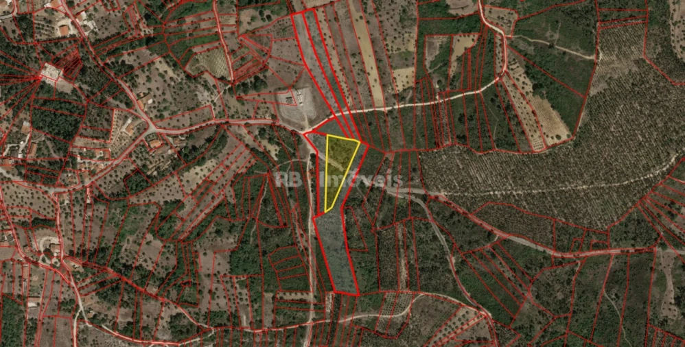 Terreno Agricola ou Rústico para Venda em Sabacheira Foto 2