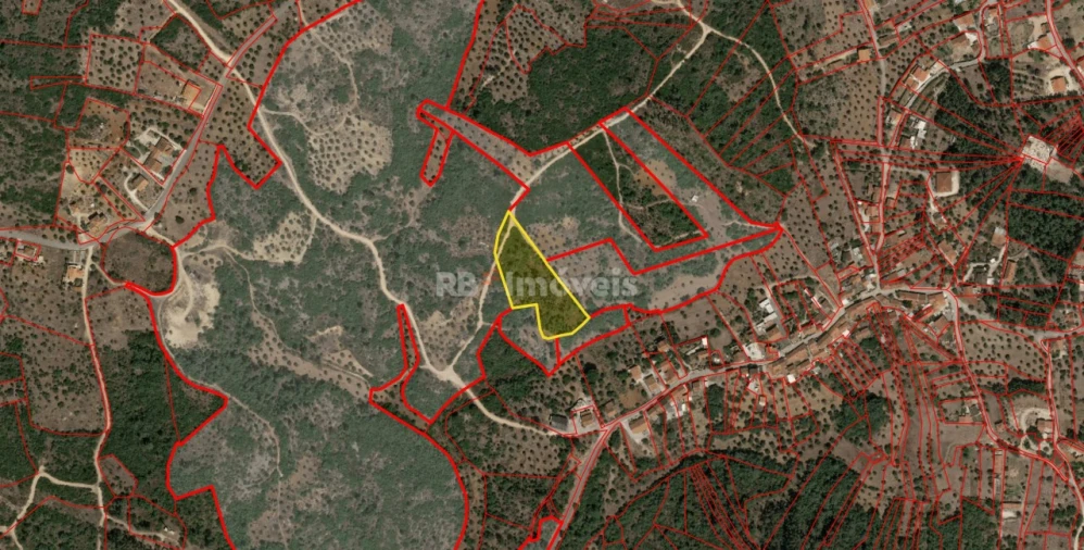 Terreno Agricola ou Rústico para Venda em Sabacheira Foto 5