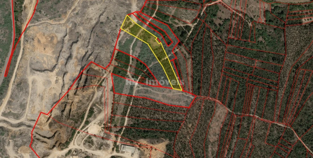 Terreno Agricola ou Rústico para Venda em Sabacheira Foto 7