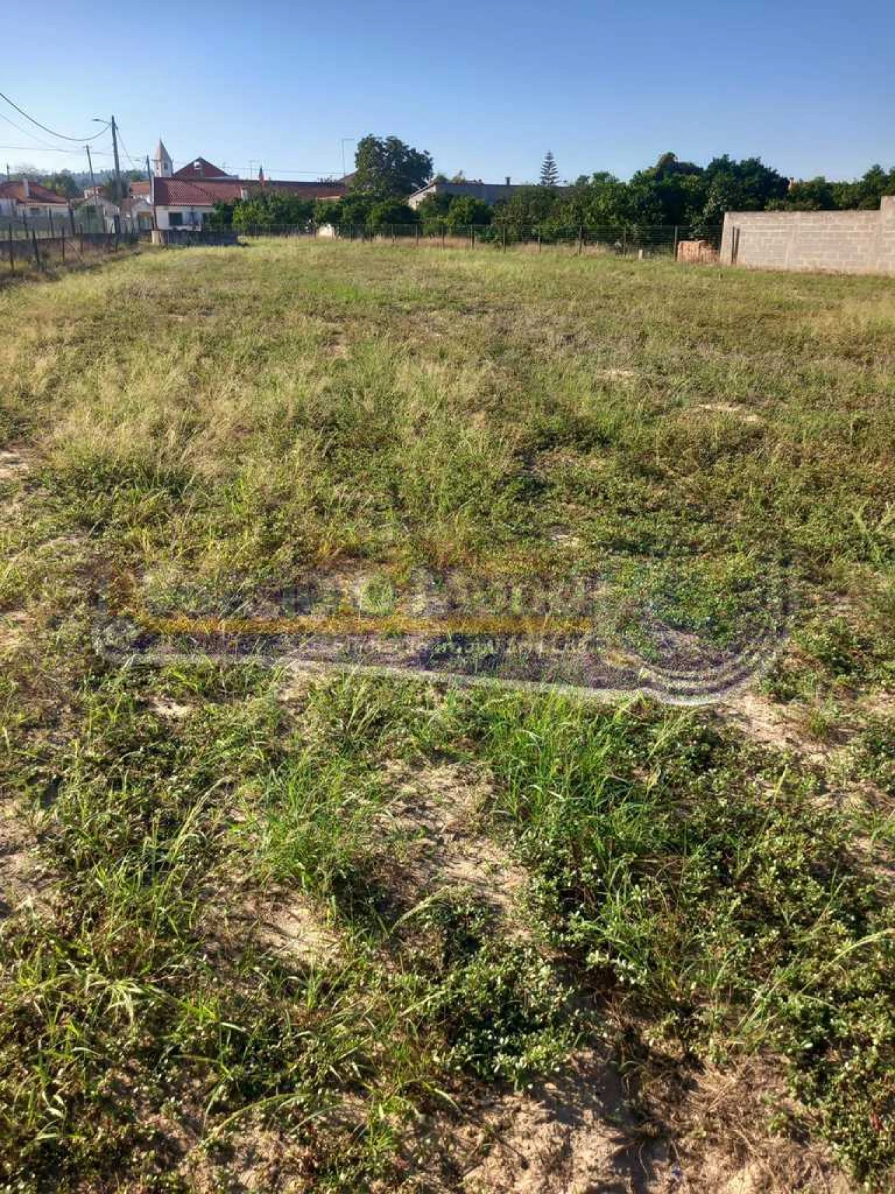 Terreno para Venda em Carregueira Foto 2