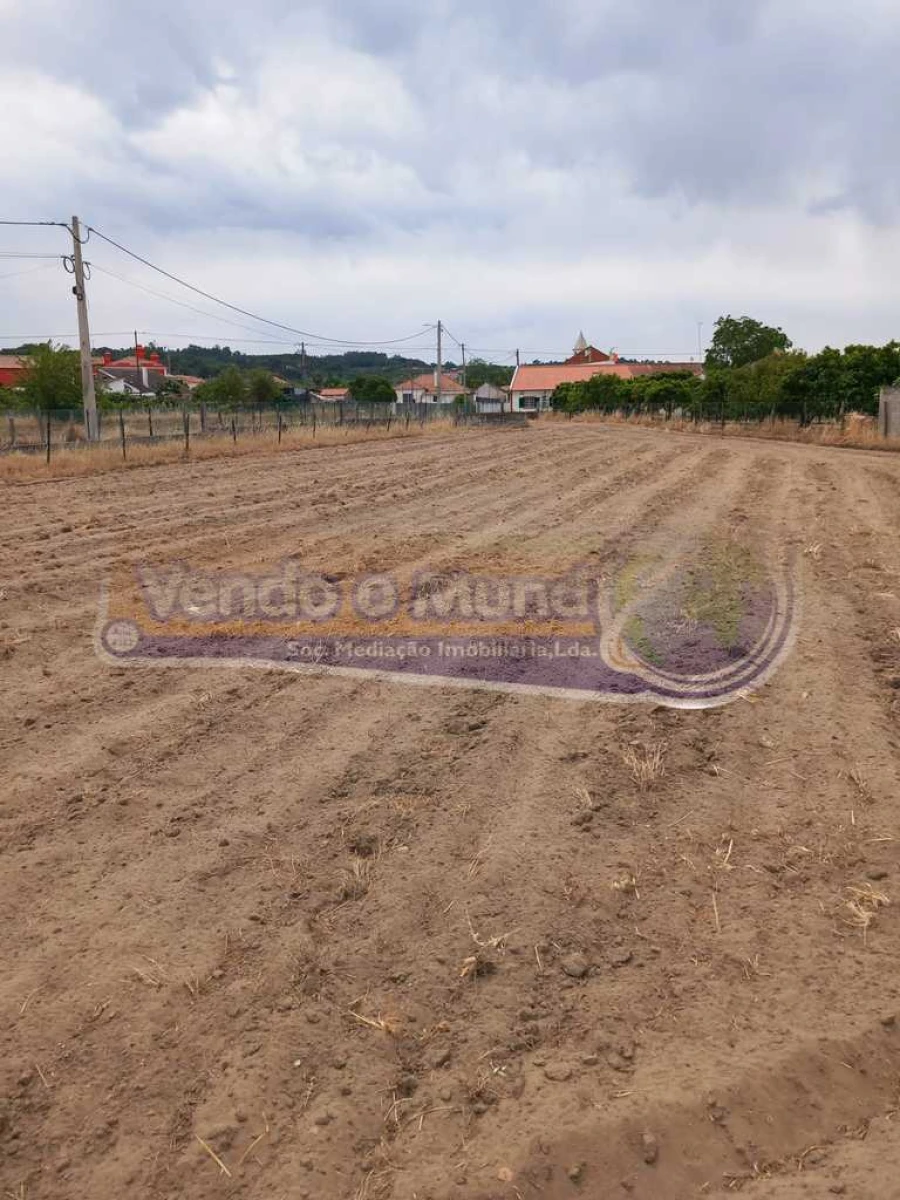 Terreno para Venda em Carregueira Foto 1