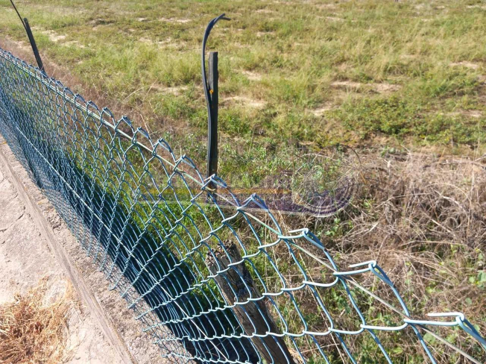 Terreno para Venda em Carregueira Foto 3