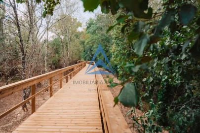 Loja para Venda em Pelariga